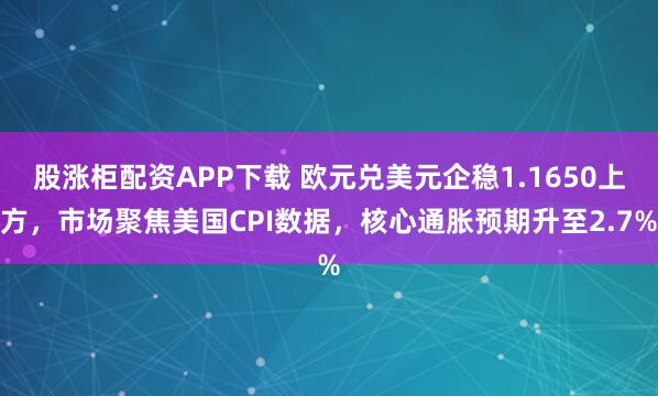 股涨柜配资APP下载 欧元兑美元企稳1.1650上方，市场聚焦美国CPI数据，核心通胀预期升至2.7%