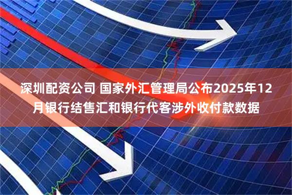 深圳配资公司 国家外汇管理局公布2025年12月银行结售汇和银行代客涉外收付款数据